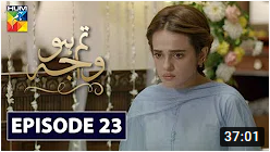 Tum Ho Wajah Episode 23