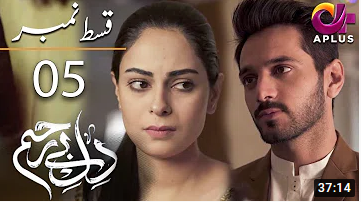 Dil e Bereham Episode 05