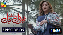 Bhool Jaa Ay Dil Episode 6