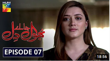Bhool Jaa Ay Dil Episode 7