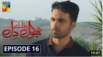 Bhool Jaa Ay Dil Episode 16