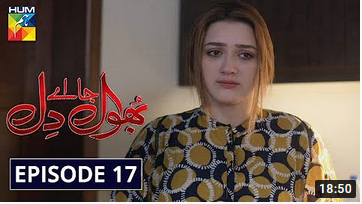 Bhool Jaa Ay Dil Episode 17