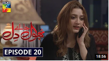 Bhool Jaa Ay Dil Episode 20
