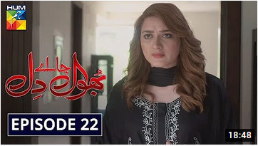 Bhool Jaa Ay Dil Episode 22