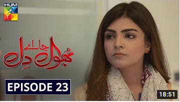 Bhool Jaa Ay Dil Episode 23