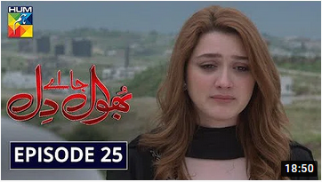 Bhool Jaa Ay Dil Episode 25