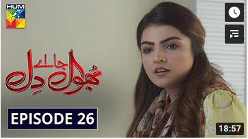 Bhool Jaa Ay Dil Episode 26