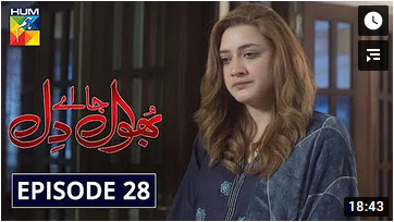 Bhool Jaa Ay Dil Episode 28