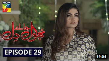 Bhool Jaa Ay Dil Episode 29