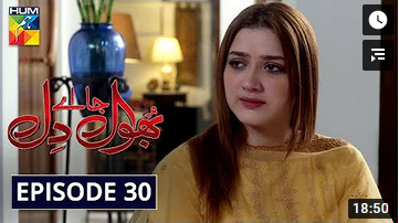 Bhool Jaa Ay Dil Episode 30