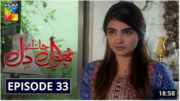Bhool Jaa Ay Dil Episode 33