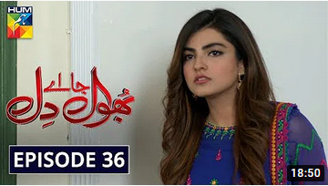 Bhool Jaa Ay Dil Episode 36