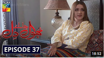 Bhool Jaa Ay Dil Episode 37
