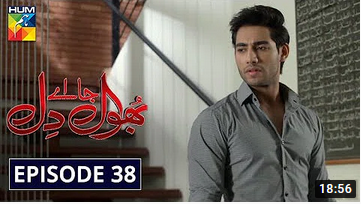 Bhool Jaa Ay Dil Episode 38