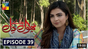 Bhool Jaa Ay Dil Episode 39