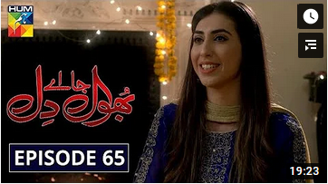 Bhool Jaa Ay Dil Episode 65