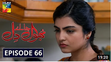 Bhool Jaa Ay Dil Episode 66