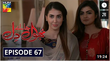 Bhool Jaa Ay Dil Episode 67