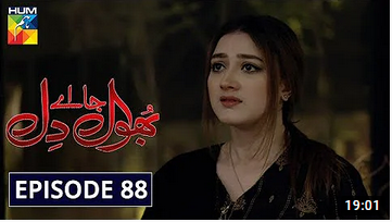 Bhool Jaa Ay Dil Episode 88
