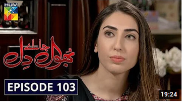 Bhool Jaa Ay Dil Episode 103