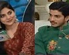 Interesting Answers of Mohsin Abbas on Sanam Baloch Question