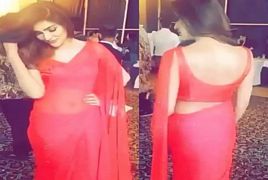 Pakistani Actress Looking Gorgeous In Red Sari