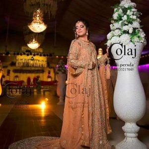 Sara Razi adorable pictures from her reception